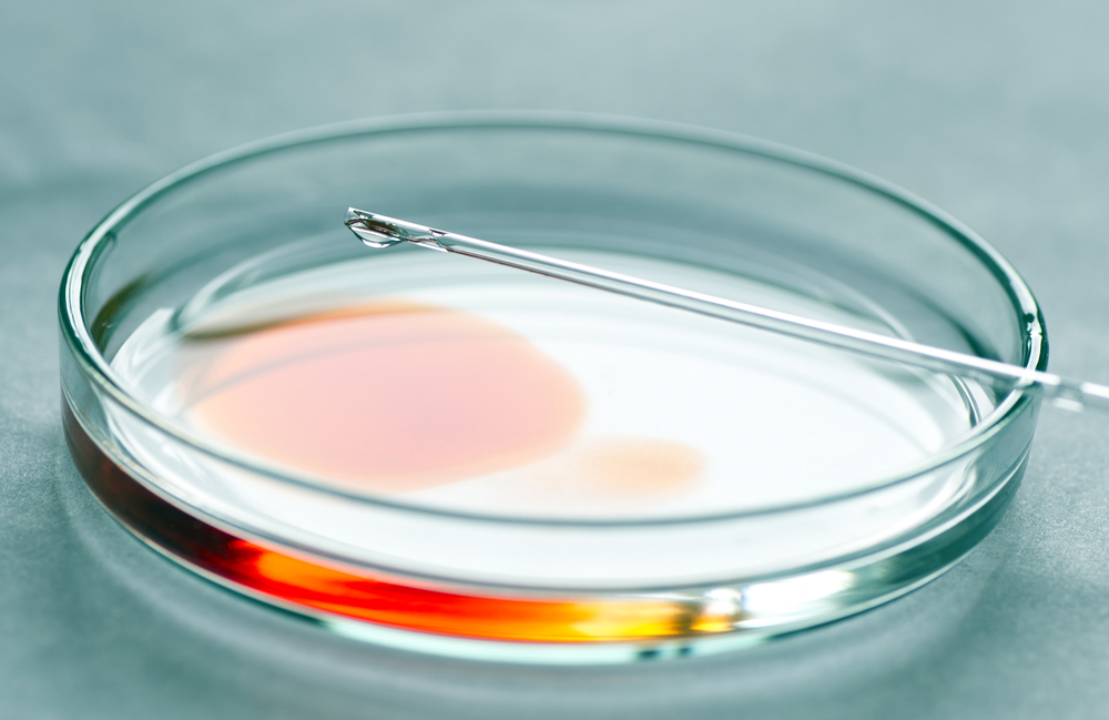 Petri Dish.jpg